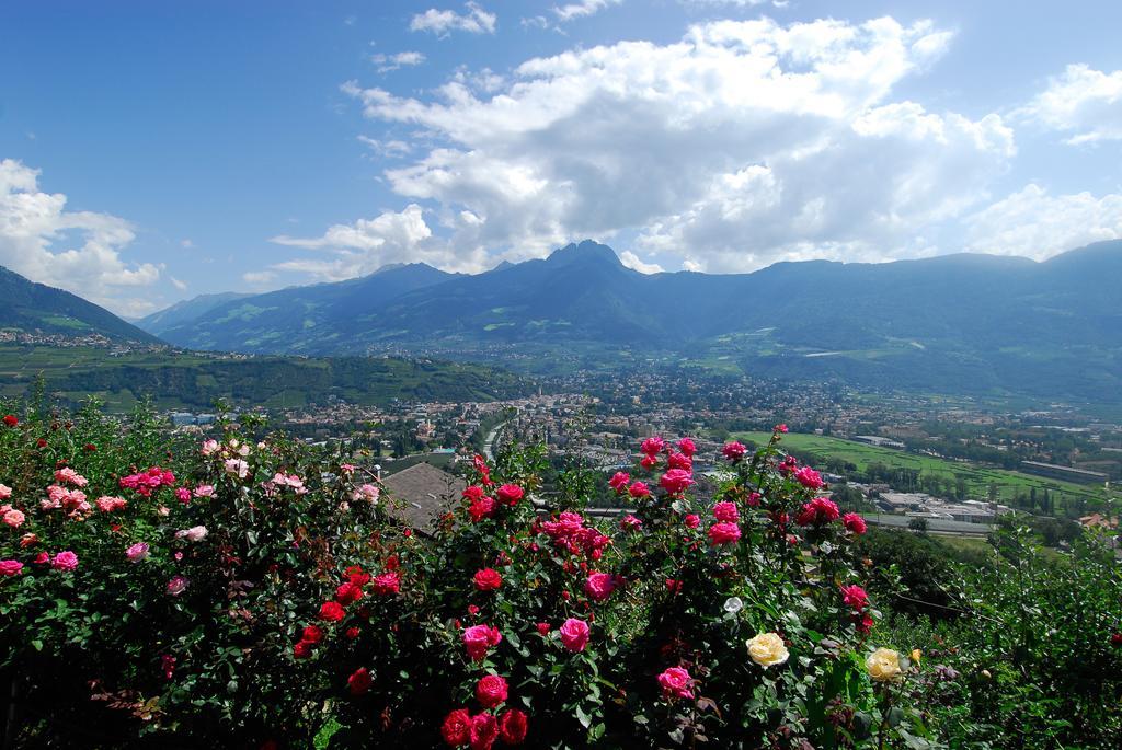 Hotel Gasthof Waldschenke Marling Rum bild